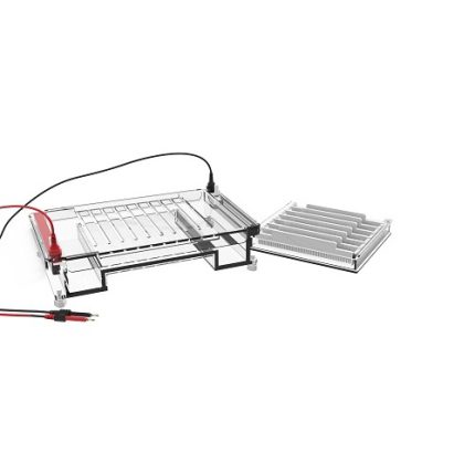 high throughput horizontal electrophoresis cell