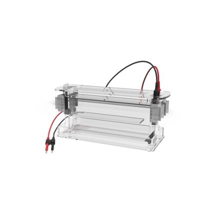 high-throughput vertical electrophoresis cell