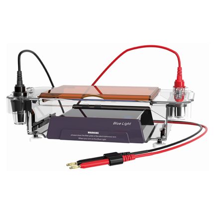 horizontal electrophoresis cell with blue light illuminator