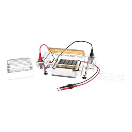 horizontal electrophoresis cell