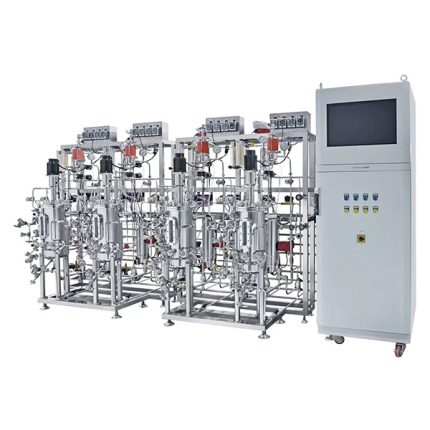 multiple parallel stainless steel fermenter